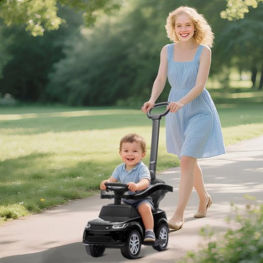 Aiyaplay Correpasillos 2 En 1 Para Niños 18-36 Meses Con Mango De Empuje Negro