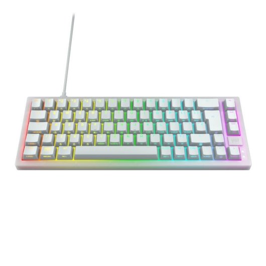 Tastatur mechanisch CHERRY K5V2 Compact QWERTZ Deutsch RGB weiß