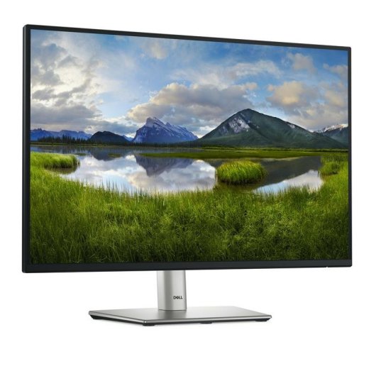 Monitor Dell Pro Plus P2425E 24.1" WUXGA 100Hz IPS USB-C Tempo di risposta 8 ms