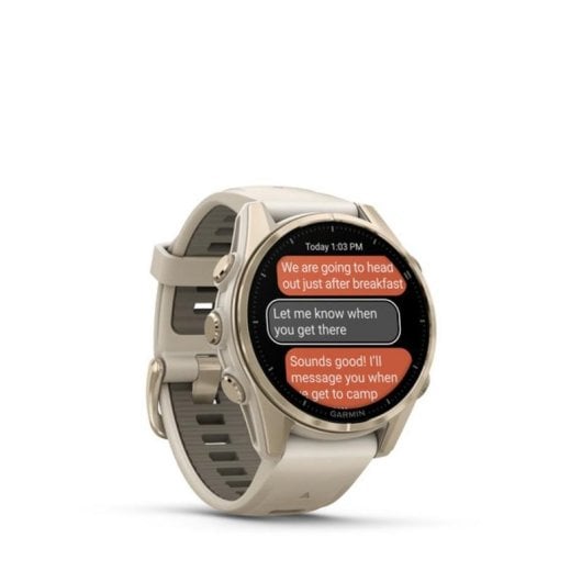 Garmin fenix 8 Bluetooth GPS WiFi 43mm AMOLED Ouro Cinza Tamanho único Resistente à água 40m