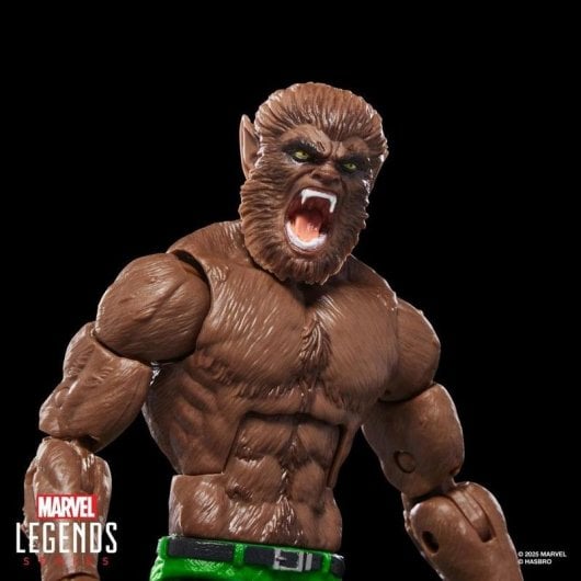 Actionfigur Hasbro Marvel Legends Series Werewolf By Night 20 Gelenkpunkte Fensterbox