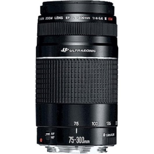 Obiettivo Canon EF 75-300mm f/4-5.6 III USM Telezoom Montatura EF Autofocus