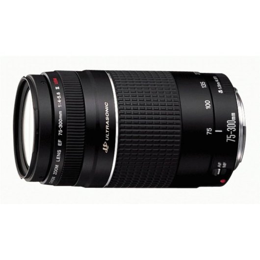 Obiettivo Canon EF 75-300mm f/4-5.6 III USM Telezoom Montatura EF Autofocus