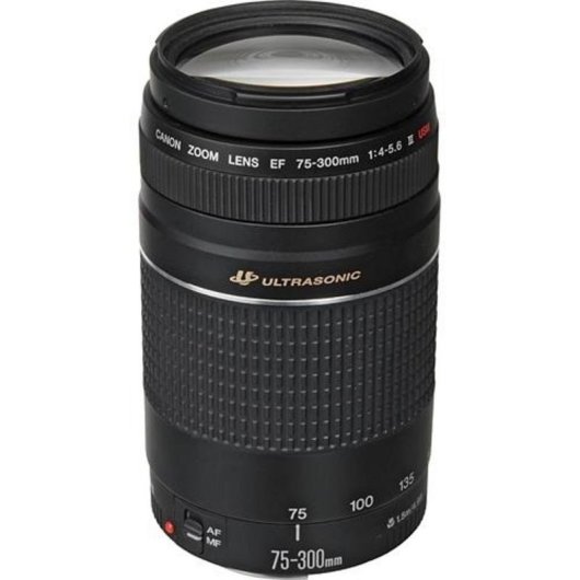 Obiettivo Canon EF 75-300mm f/4-5.6 III USM Telezoom Montatura EF Autofocus