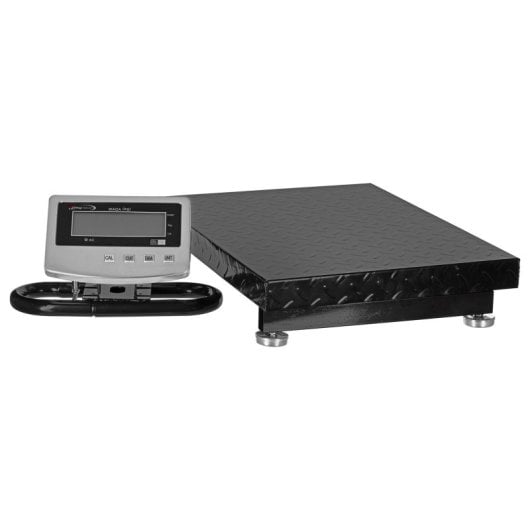 Plattformwaage Wt-053 300 kg