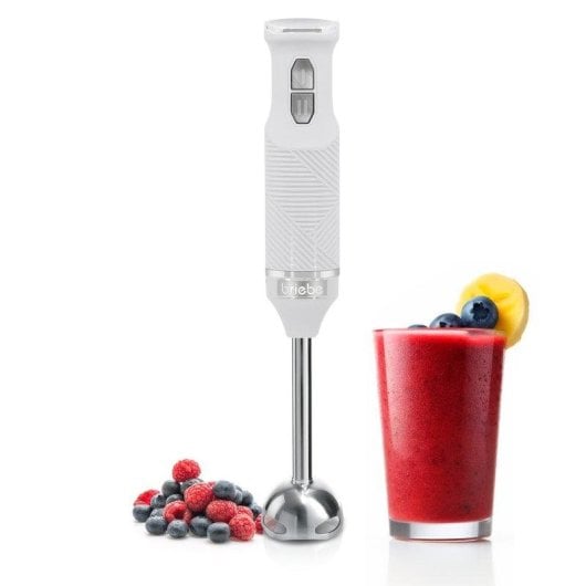 Stabmixer Briebe Hb1173wht 600W Weiß Edelstahlklingen Abnehmbarer Mixfuß 2 Geschwindigkeiten