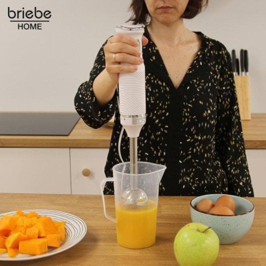 Stabmixer Briebe Hb1173wht 600W Weiß Edelstahlklingen Abnehmbarer Mixfuß 2 Geschwindigkeiten