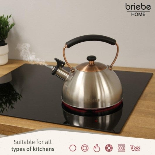 Teekessel Briebe I-Bronze 2,3L Edelstahl Retro Induktion Whistle