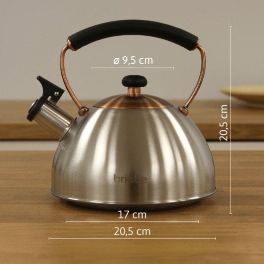 Teekessel Briebe I-Bronze 2,3L Edelstahl Retro Induktion Whistle