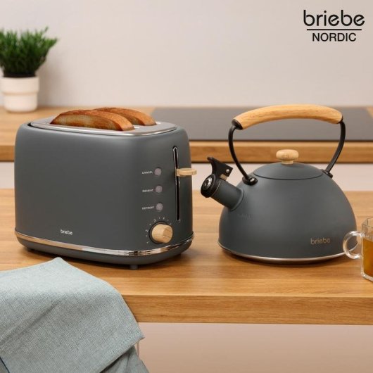Briebe SKT1177GRY broodrooster 2 brede sleuven 870 W 6 bruiningsstanden matgrijs