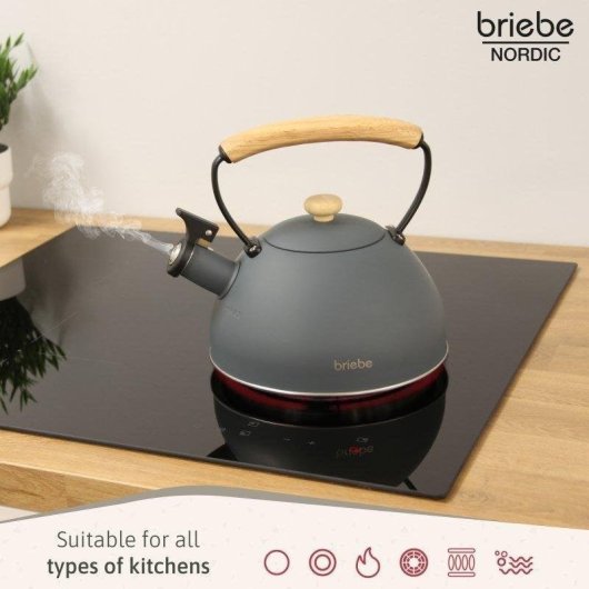 Briebe SKT1177GRY broodrooster 2 brede sleuven 870 W 6 bruiningsstanden matgrijs