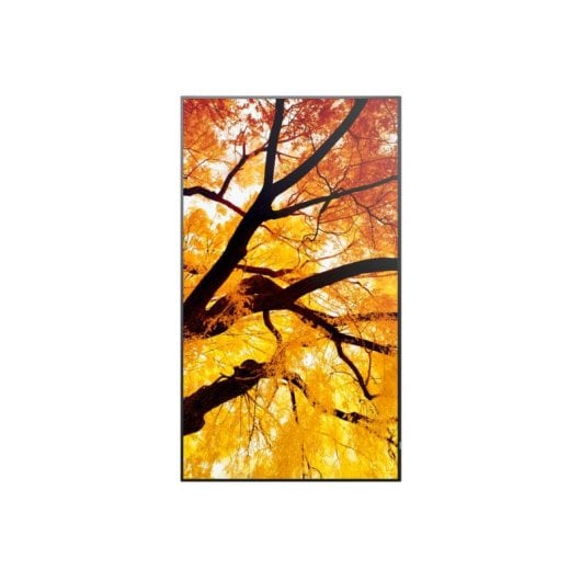 Monitor Sharp MultiSync M432 42,5" UltraHD 4K 60Hz IPS 8ms Digital Signage