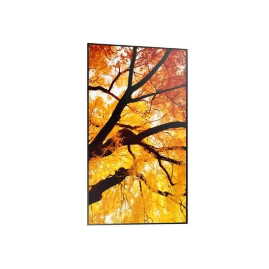 Monitor Sharp MultiSync M432 42,5" UltraHD 4K 60Hz IPS 8ms Digital Signage