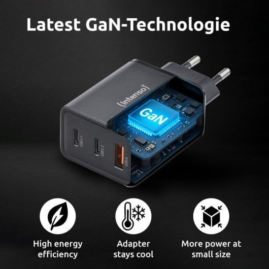 Source d'Alimentation Intenso 7806510 65W pour Intérieur Noir