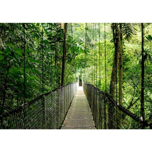 Portátil HP EliteBook 6 G1ah 14" AMD Ryzen 5 220 16GB 512GB SSD Radeon 740M Windows 11 Pro