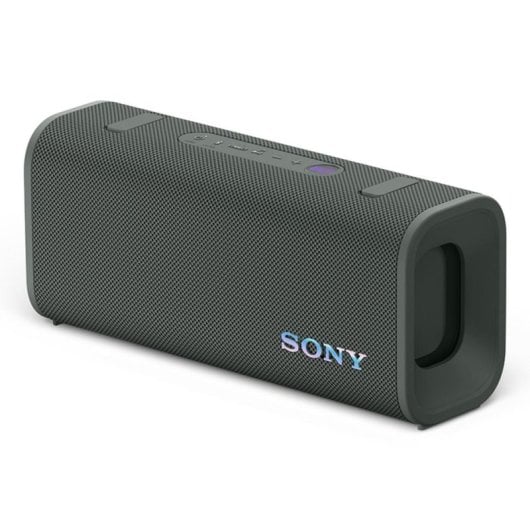 Haut-parleurs Sony Portables Stéréo Sans fil Bluetooth IP67 Autonomie 24h Gris