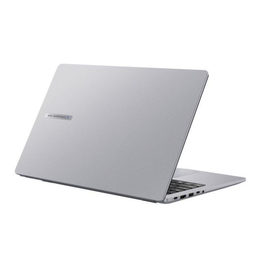 Portátil Asus ExpertBook P1 PM1503CDA-S70045W 15.6" AMD Ryzen 7 7735HS 8GB 512GB SSD Radeon 680M Windows 11 Home
