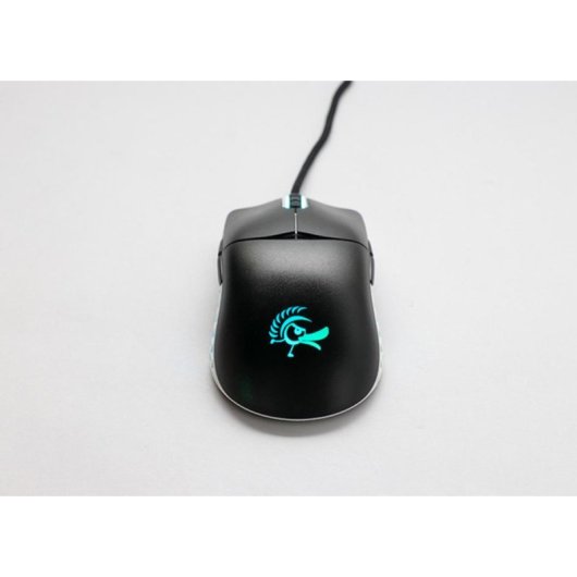 Souris Ducky Feather USB Type-A 16000 DPI Noir Éclairage RGB Ambidextre