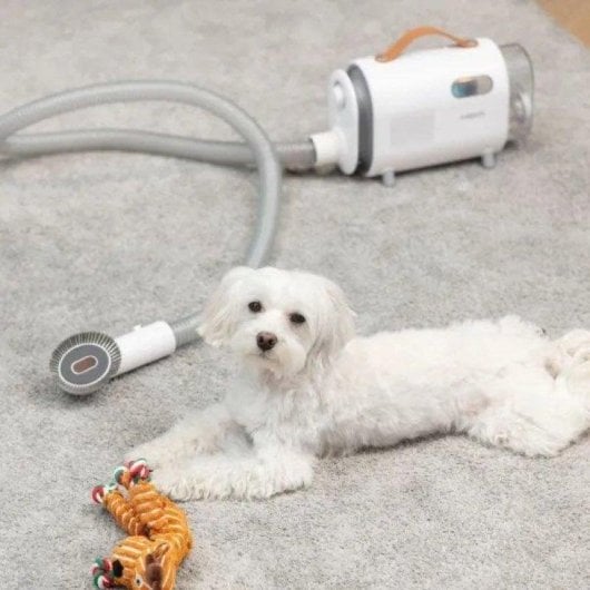 Aspirateur avec Sac MPM MOD-1000 300W Animaux de compagnie Filtre HEPA Silencieux