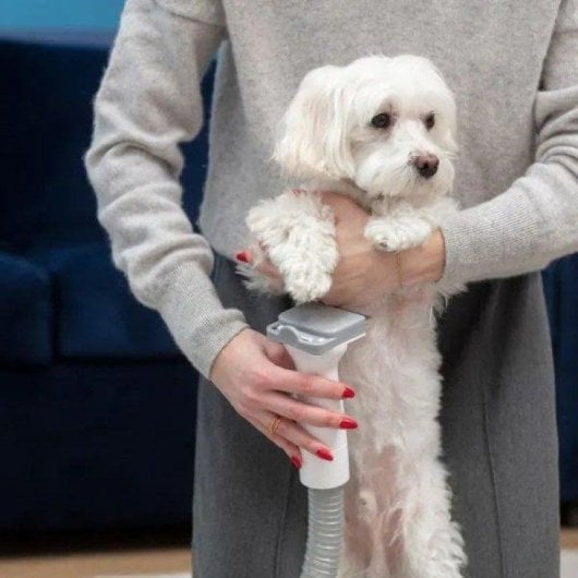 Aspirateur avec Sac MPM MOD-1000 300W Animaux de compagnie Filtre HEPA Silencieux