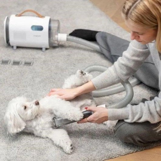 Aspirateur avec Sac MPM MOD-1000 300W Animaux de compagnie Filtre HEPA Silencieux