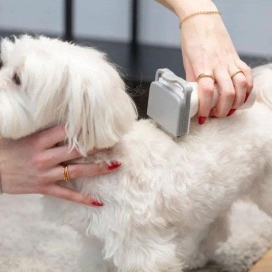 Aspirateur avec Sac MPM MOD-1000 300W Animaux de compagnie Filtre HEPA Silencieux