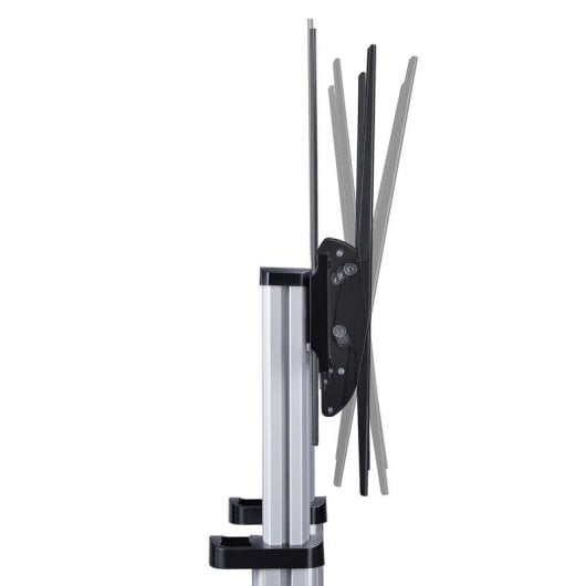 Support TV StarTech STNDMTV100 avec roulettes, ajustable, pour 60-100 pouces