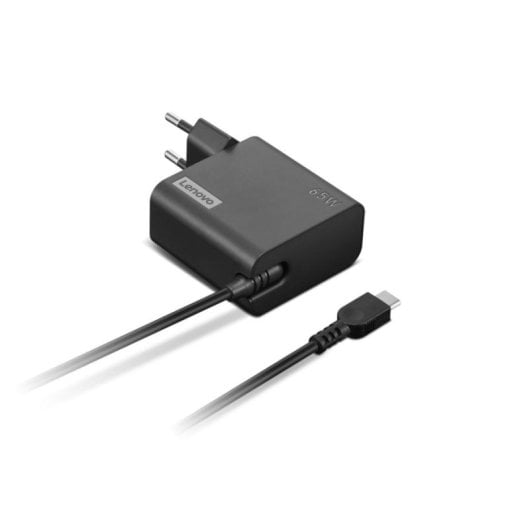 Adaptateur secteur Lenovo GX21L58555 USB-C 65W câble 1,7m noir EU