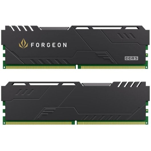 Forgeon Cyclone PRO DDR5 6000 MHz 32 GB (2x16 GB) CL30 Preto