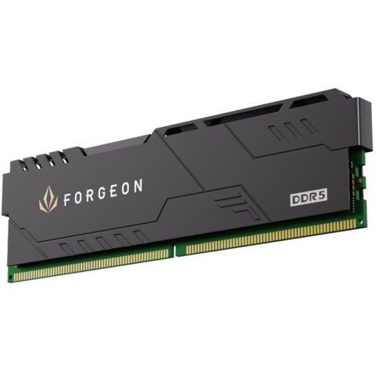 Forgeon Cyclone PRO DDR5 6000 MHz 32 GB (2x16 GB) CL30 Preto