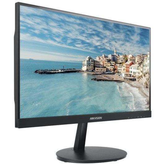 Écran PC Hikvision DS-D5022FC-C 21,5" Full HD 60Hz LED Business 6,5ms Haut-parleurs