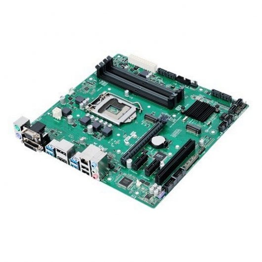 Asus Prime B250M-C