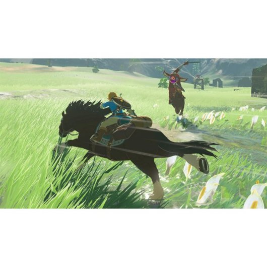 Legend of Zelda:Breath of the Wild Nintendo Switch