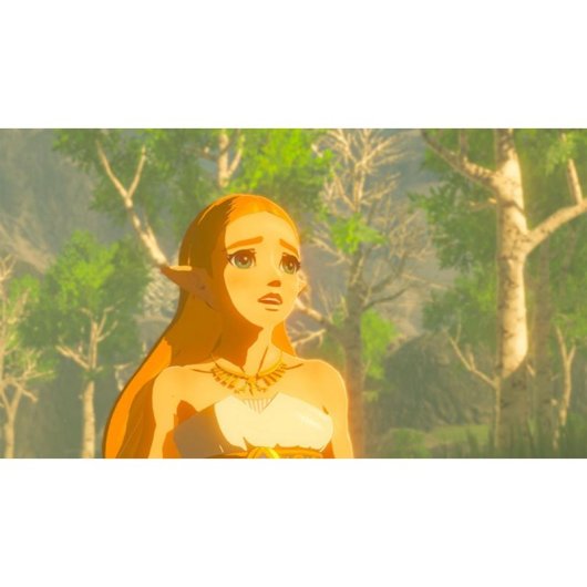 Legend of Zelda:Breath of the Wild Nintendo Switch