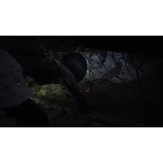 Infogrames Fatal Frame II Crimson Butterfly Remake Nintendo Switch 2