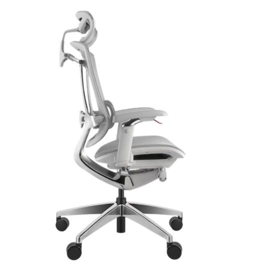 Chaise ergonomique REKT RGOMAXFG Malla Dupont Système lombaire 4D Gris