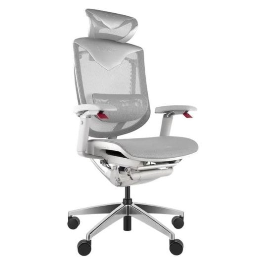 Chaise ergonomique REKT RGOMAXFG Malla Dupont Système lombaire 4D Gris