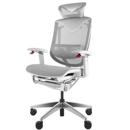 Chaise ergonomique REKT RGOMAXFG Malla Dupont Système lombaire 4D Gris