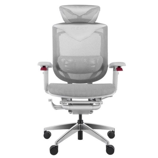 Chaise ergonomique REKT RGOMAXFG Malla Dupont Système lombaire 4D Gris