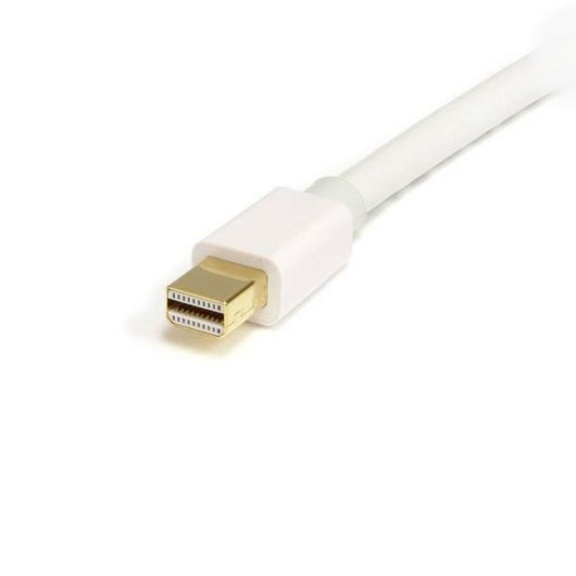 Cavo DisplayPort Startech MDP2DPMM2MW 2 m 4K x 2K UHD Bianco