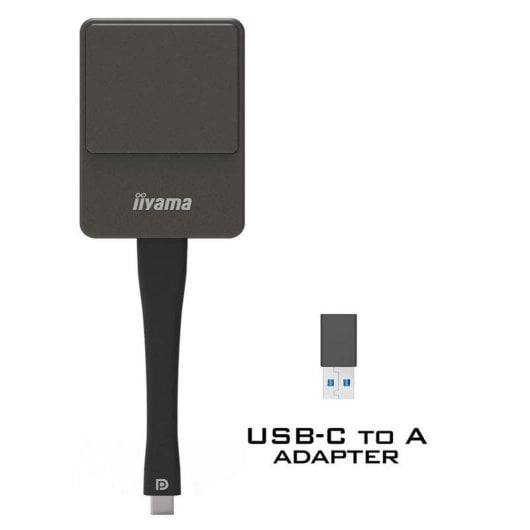 Adaptador Smart TV iiyama WP D002C 4K Ultra HD USB-C Wi-Fi 4