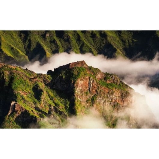 Objektiv OM System M.Zuiko Digital ED 40-150 mm f/2.8 PRO Wetterfest Micro 4/3 Nicht-stabilisiert