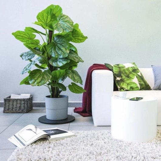 Supporto TV Hama 00220892 rotazione 360° 80 kg Nero universale