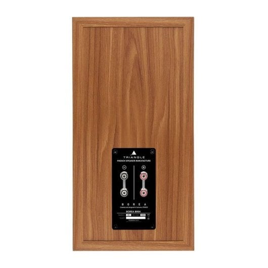 Enceintes Triangle Bibliothèque Passives 2 voies 2x130W Vert Bass Reflex