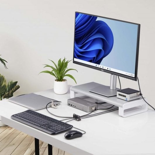 Organizzatore cavi Startech CABLE-ORGANIZER-LOCK con blocco antifurto per scrivania