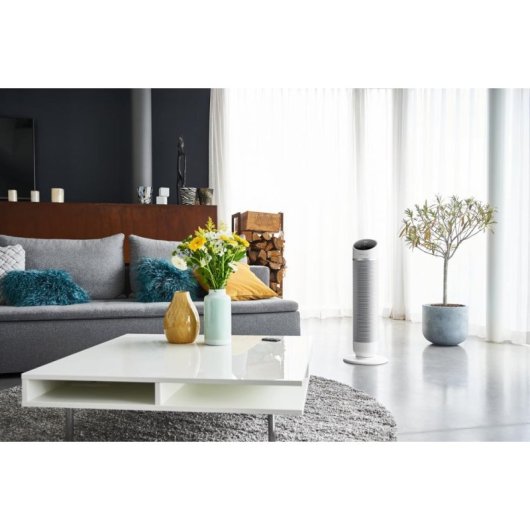 Chauffage Soufflant Rowenta Silent Comfort 3-in-1 HQ8120 2400W Silencieux