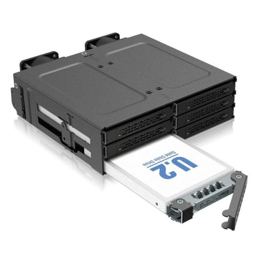 Rack ICY DOCK MB118VP-B 6 unità NVMe U.2/U.3 PCIe 4.0 5,25" nero