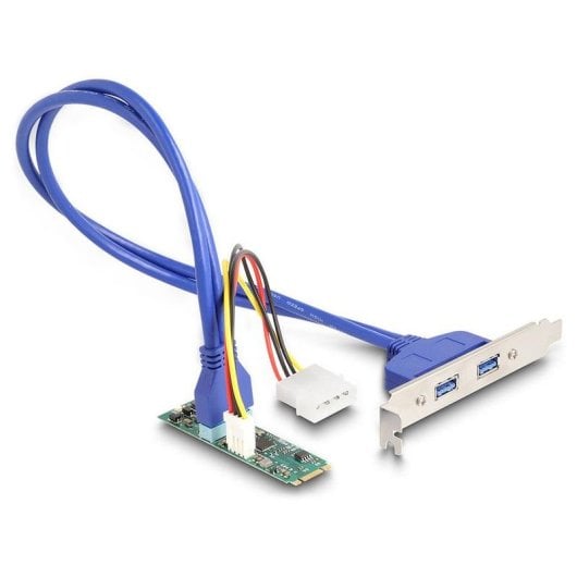Adaptador DeLock 61065 M.2 Key B+M a 2x USB 3.0 y alimentación Molex