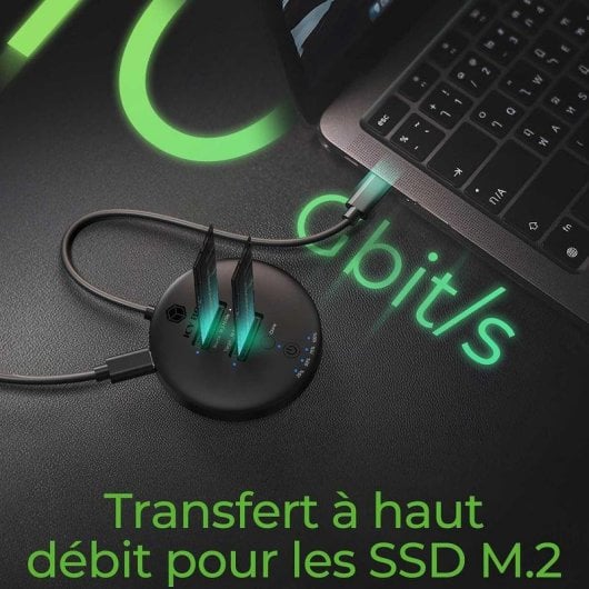 Base di connessione ICY BOX IB-1612MCL-C31 2xM.2 NVMe Clonazione USB-C 10 Gbps