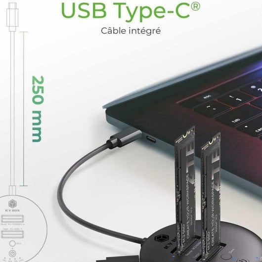 Base di connessione ICY BOX IB-1612MCL-C31 2xM.2 NVMe Clonazione USB-C 10 Gbps